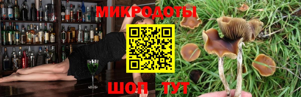 Псилоцибиновые грибы Cubensis  Вход с VPN  Нерюнгри 